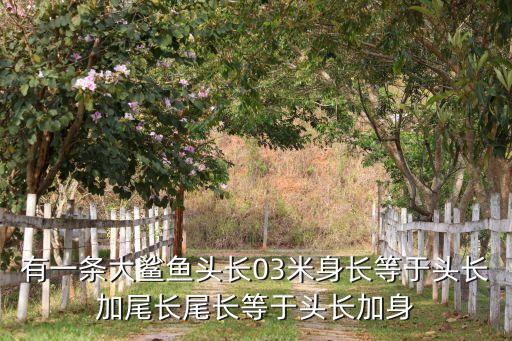 尾长，有一条大鲨鱼头长03米身长等于头长加尾长尾长等于头长加身