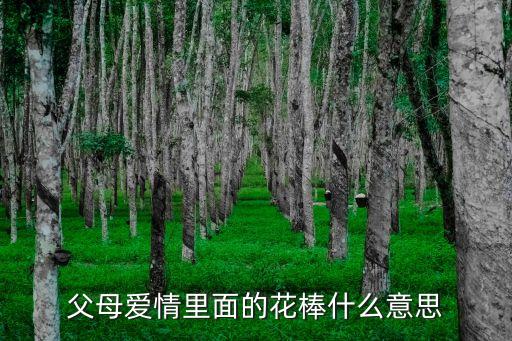 父母爱情里面的花棒什么意思