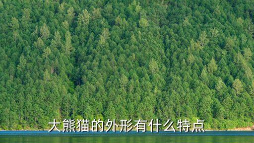 大熊猫的外形有什么特点