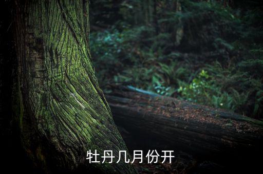 牡丹花几月开，牡丹几月份开