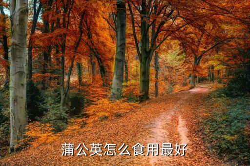 蒲公英的食用方法，如何吃蒲公英