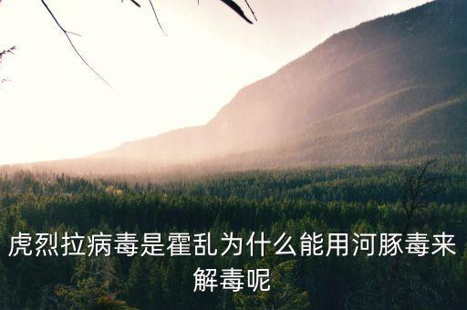 河豚是什么，洋鱼是什么鱼