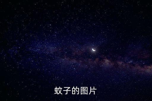 蚊子种类图片大全，蚊子的图片