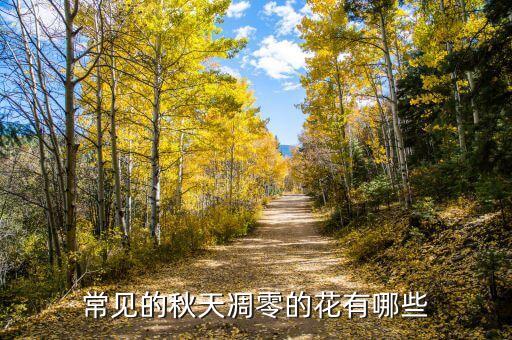 常见的秋天凋零的花有哪些