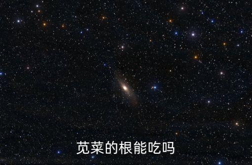 苋根，苋菜的根能吃吗
