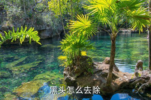 黑头怎么去除