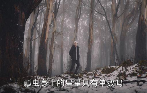 瓢虫身上的星星只有单数吗