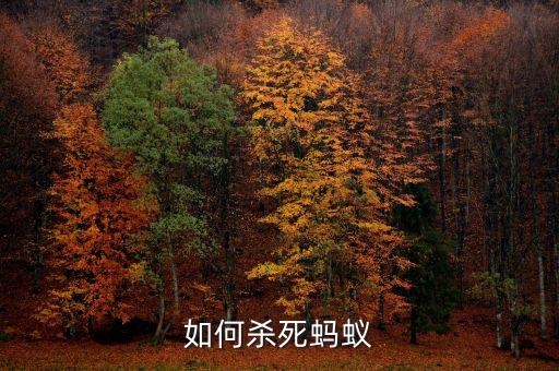 如何杀死蚂蚁