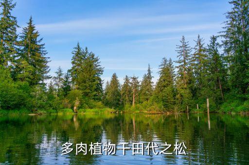 多肉植物千田代之松