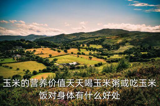 玉米的营养价值天天喝玉米粥或吃玉米饭对身体有什么好处
