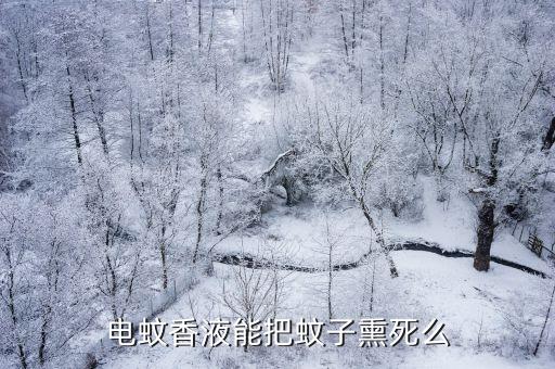 电蚊香液能把蚊子熏死么