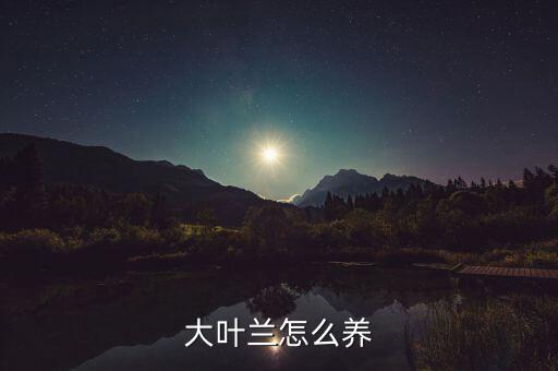 大叶兰，什么是大叶兰