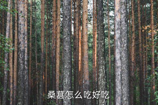 桑葚怎么吃好吃
