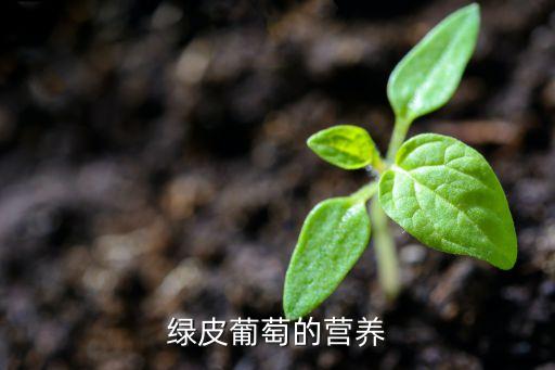 绿葡萄，绿皮葡萄的营养