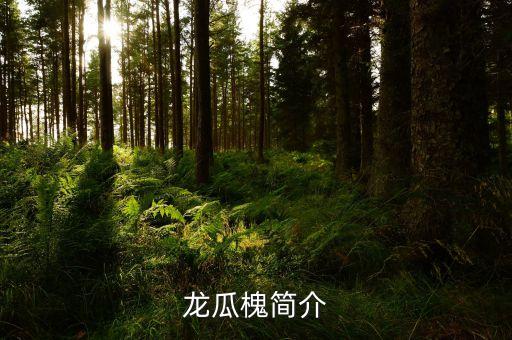 龙瓜槐简介