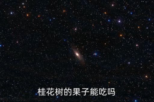 桂花树的果子能吃吗