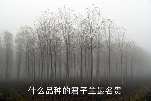 什么品种的君子兰最名贵