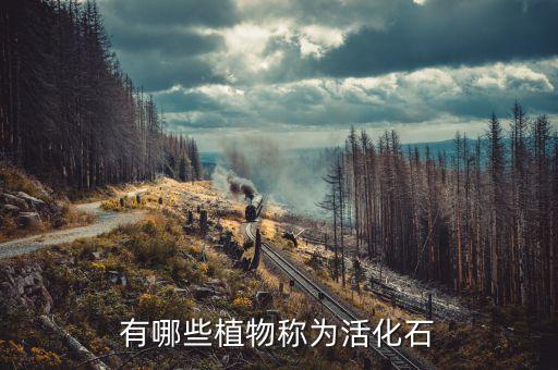 有哪些植物称为活化石