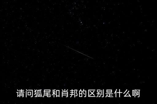 狐尾，狐狸的尾巴有什么作用