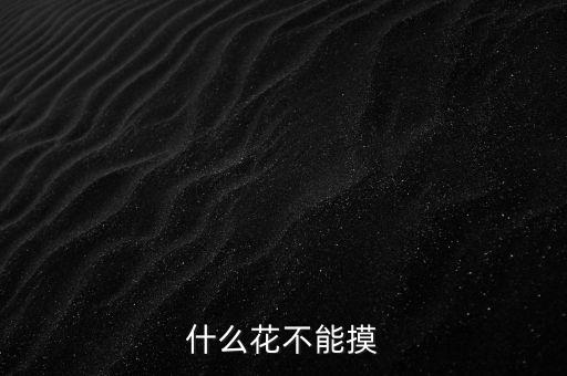 什么花不能摸