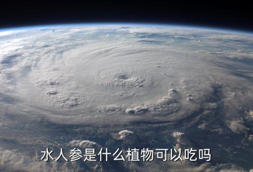 水人参是什么植物可以吃吗