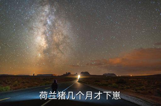 荷兰猪几个月才下崽