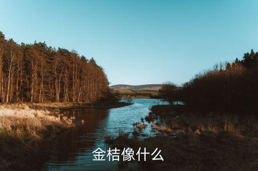 金桔像什么