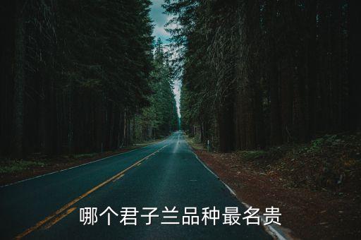 哪个君子兰品种最名贵