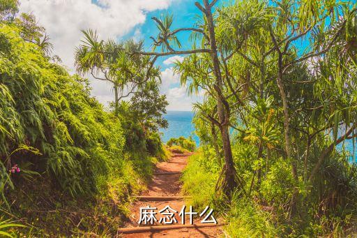 麻，麻念什么