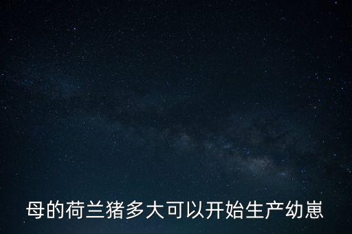 母的荷兰猪多大可以开始生产幼崽