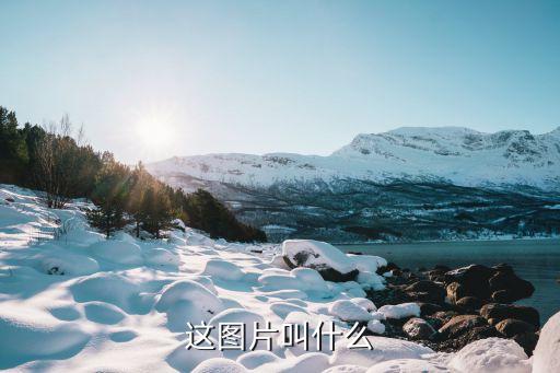 粉色龙沙宝石图片，这图片叫什么