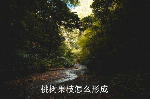 桃树果枝怎么形成