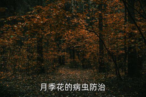 月季花的病虫防治