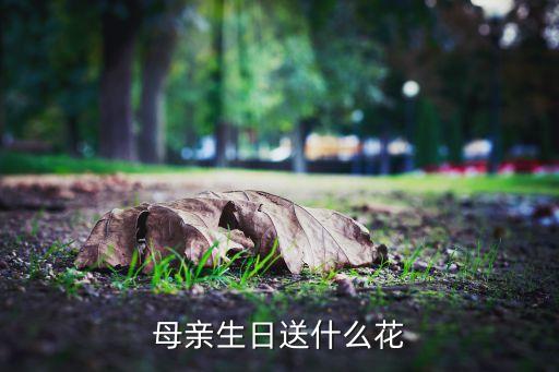 母亲生日送什么花