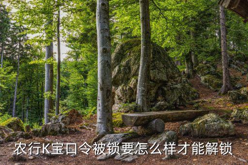 农行K宝口令被锁要怎么样才能解锁