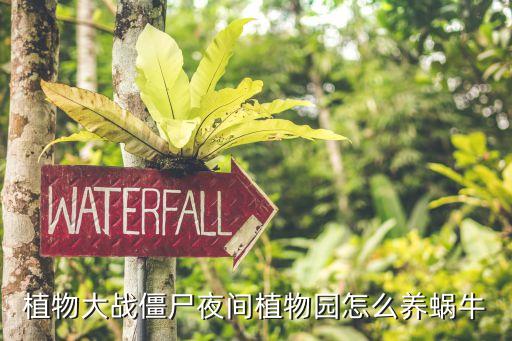 植物大战僵尸夜间植物园怎么养蜗牛