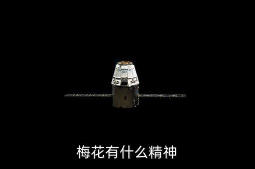 梅花有什么精神