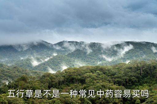 五行草是不是一种常见中药容易买吗