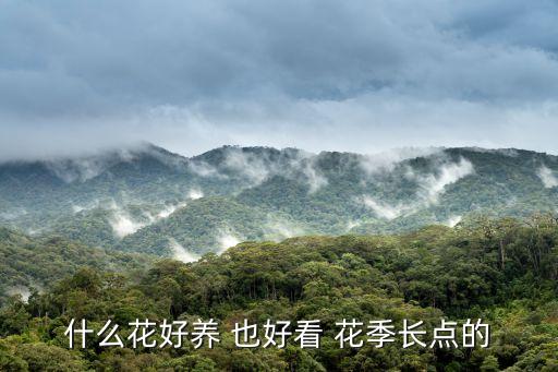 什么花好养 也好看 花季长点的