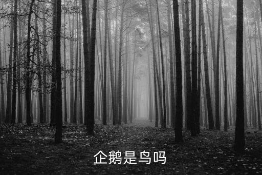 企鹅是鸟吗