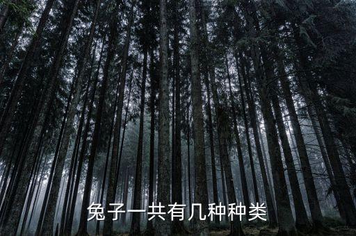 兔子有多少种，兔子有多少种