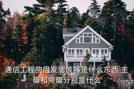主瓣，有谁能解释一下主瓣副瓣旁瓣栅瓣是什么意思