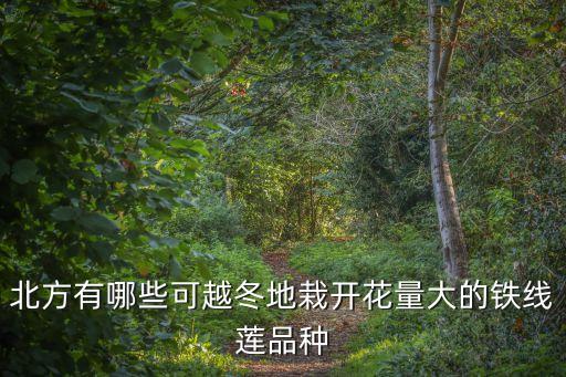 铁线莲品种排名，请教铁线莲品种