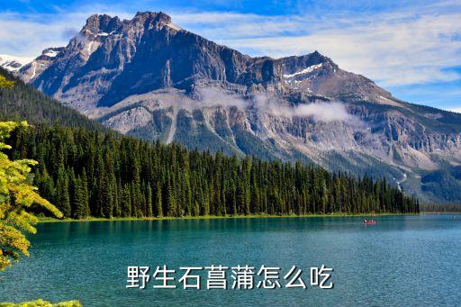 野生石菖蒲怎么吃
