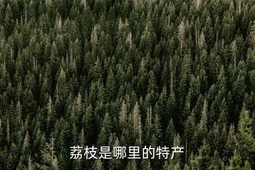 荔枝是哪里的特产