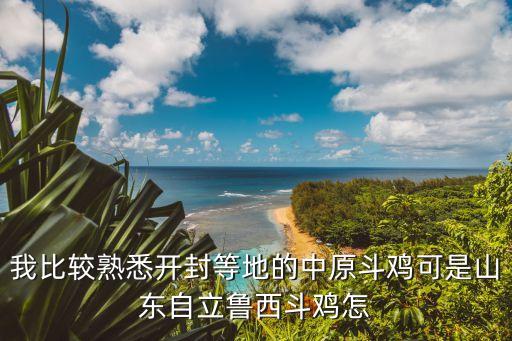 我比较熟悉开封等地的中原斗鸡可是山东自立鲁西斗鸡怎