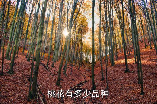 桃花有多少品种