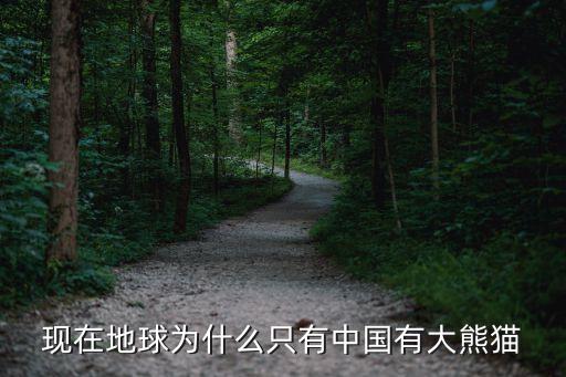 大熊猫为什么只有中国有，现在地球为什么只有中国有大熊猫