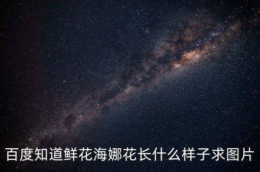 百度知道鲜花海娜花长什么样子求图片