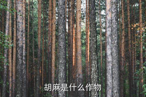 胡麻，胡麻是什么